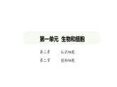 1.2.2 植物细胞课件2024-2025学年人教版（2024）生物七年级上册