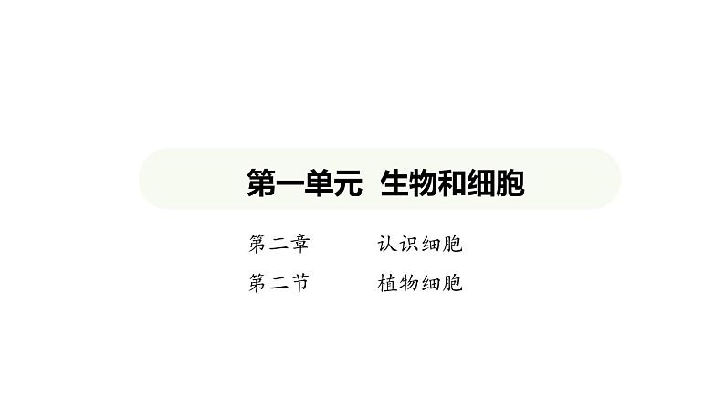 1.2.2 植物细胞课件2024-2025学年人教版（2024）生物七年级上册01