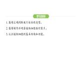 1.2.2 植物细胞课件2024-2025学年人教版（2024）生物七年级上册