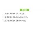 1.2.2 植物细胞课件2024-2025学年人教版（2024）生物七年级上册