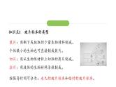 1.2.2 植物细胞课件2024-2025学年人教版（2024）生物七年级上册