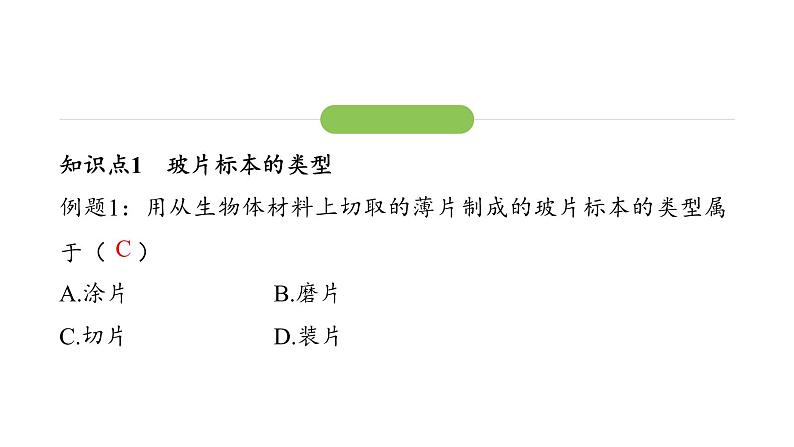 1.2.2 植物细胞课件2024-2025学年人教版（2024）生物七年级上册05