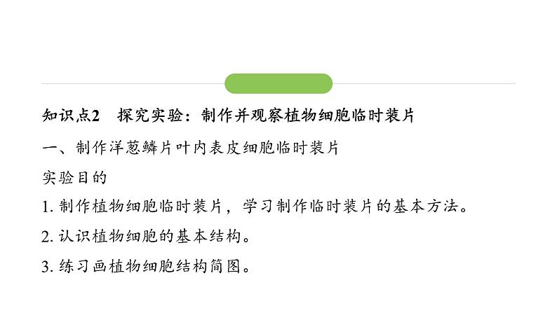 1.2.2 植物细胞课件2024-2025学年人教版（2024）生物七年级上册07