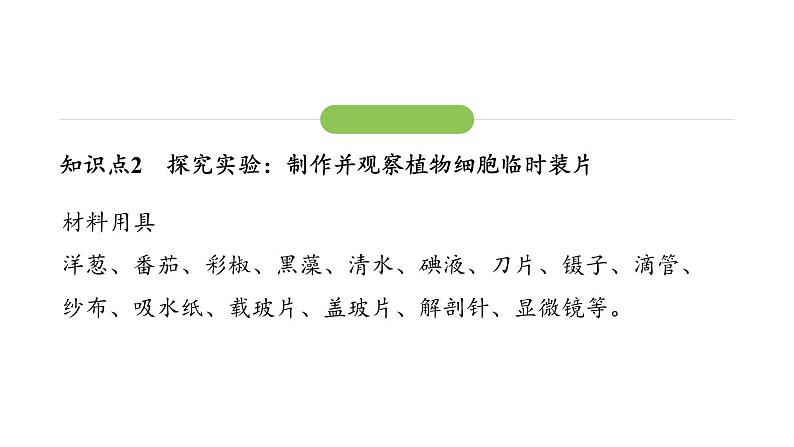 1.2.2 植物细胞课件2024-2025学年人教版（2024）生物七年级上册08