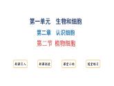 1.2.2植物细胞课件2024-2025学年人教版（2024）生物七年级上册