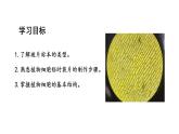 1.2.2植物细胞课件2024-2025学年人教版（2024）生物七年级上册