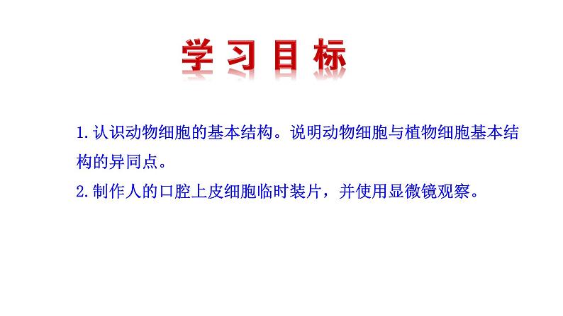 1.2.3 动物细胞   课件 2024-2025学年人教版（2024）生物七年级上册04