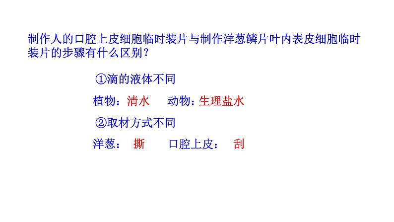 1.2.3 动物细胞   课件 2024-2025学年人教版（2024）生物七年级上册08