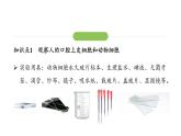1.2.3动物细胞课件  2024-2025学年人教版（2024）生物七年级上册