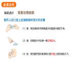 1.2.3动物细胞课件2024-2025学年人教版（2024）生物七年级上册