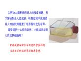 1.2.4 细胞的生活   课件2024-2025学年人教版（2024）生物七年级上册