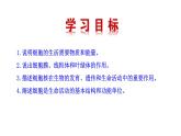 1.2.4 细胞的生活   课件2024-2025学年人教版（2024）生物七年级上册