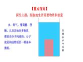 1.2.4 细胞的生活   课件2024-2025学年人教版（2024）生物七年级上册