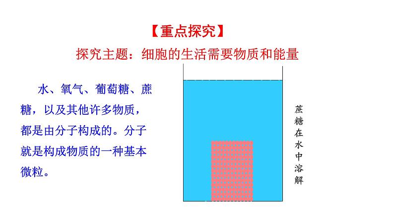 1.2.4 细胞的生活   课件2024-2025学年人教版（2024）生物七年级上册05