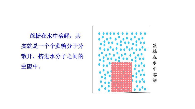 1.2.4 细胞的生活   课件2024-2025学年人教版（2024）生物七年级上册06