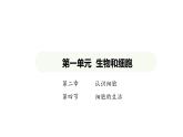 1.2.4细胞的生活课件  2024-2025学年人教版（2024）生物七年级上册