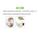 1.2.4细胞的生活课件  2024-2025学年人教版（2024）生物七年级上册