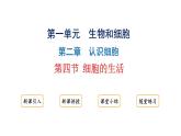 1.2.4细胞的生活课件2024-2025学年人教版（2024）生物七年级上册