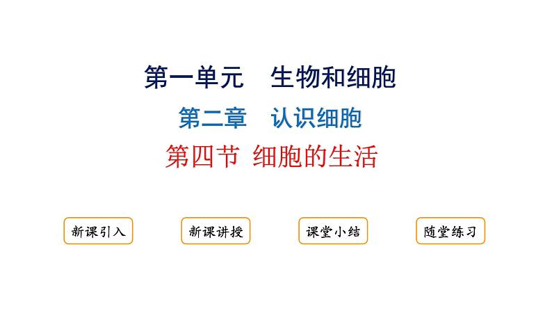 1.2.4细胞的生活课件2024-2025学年人教版（2024）生物七年级上册01