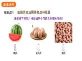1.2.4细胞的生活课件2024-2025学年人教版（2024）生物七年级上册