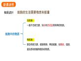 1.2.4细胞的生活课件2024-2025学年人教版（2024）生物七年级上册