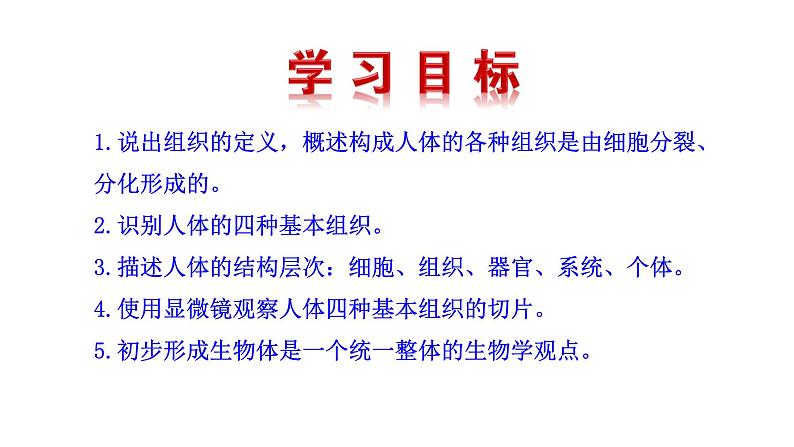 1.3.2 动物体的结构层次  课件 2024-2025学年人教版（2024）生物七年级上册03