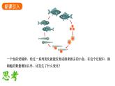 1.3.2动物体的结构层次课件 2024-2025学年人教版（2024）生物七年级上册