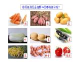 1.3.3 植物体的结构层次  课件2024-2025学年人教版（2024）生物七年级上册