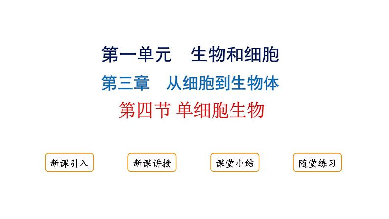 1.3.4单细胞生物课件2024-2025学年人教版（2024）生物七年级上册01