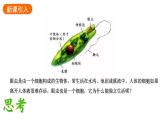 1.3.4单细胞生物课件2024-2025学年人教版（2024）生物七年级上册