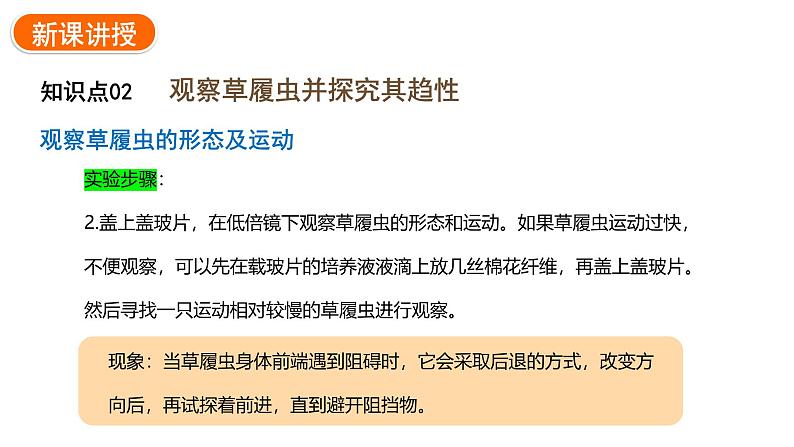 1.3.4单细胞生物课件2024-2025学年人教版（2024）生物七年级上册07