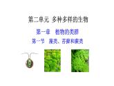 2.1.1 藻类、苔藓和蕨类   课件2024-2025学年人教版（2024）生物七年级上册