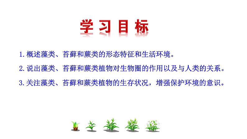 2.1.1 藻类、苔藓和蕨类   课件2024-2025学年人教版（2024）生物七年级上册02