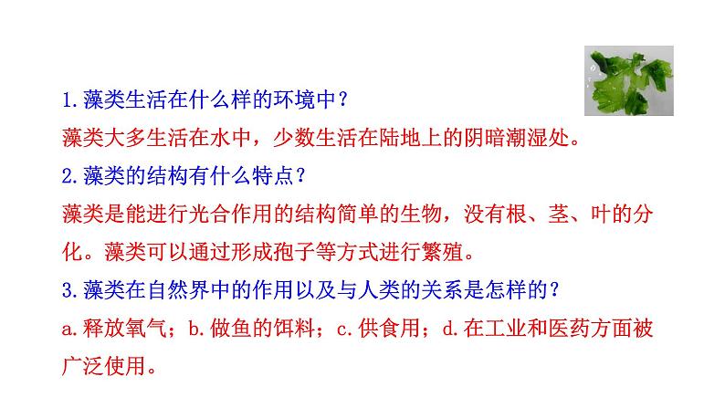 2.1.1 藻类、苔藓和蕨类   课件2024-2025学年人教版（2024）生物七年级上册06