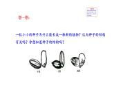 2.1.2 种子植物   课件2024-2025学年人教版（2024）生物七年级上册