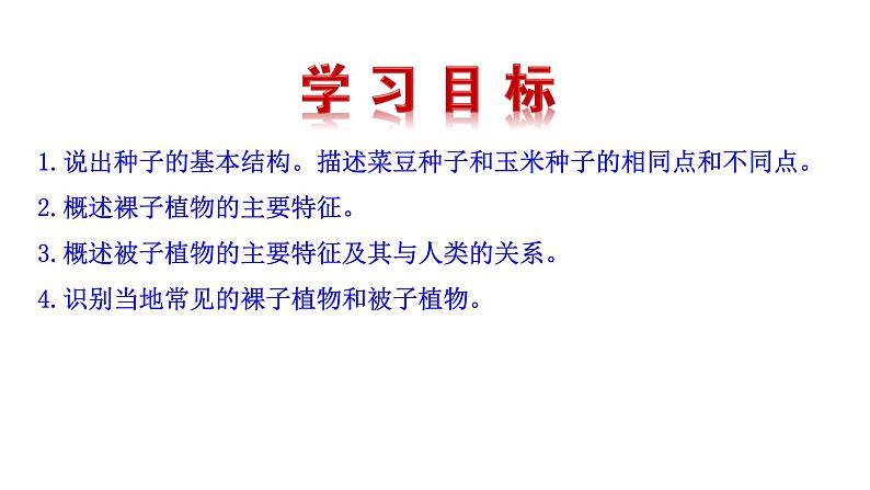 2.1.2 种子植物   课件2024-2025学年人教版（2024）生物七年级上册第3页