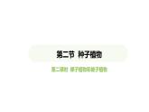 2.1.2种子植物——第二课时 裸子植物和被子植物课件2024-2025学年人教版（2024）生物七年级上册