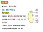 2.1.2种子植物课件2024-2025学年人教版（2024）生物七年级上册