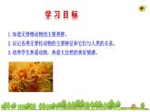 2.2.1无脊椎动物   课件2024-2025学年人教版（2024）生物七年级上册