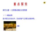 2.2.1无脊椎动物   课件2024-2025学年人教版（2024）生物七年级上册
