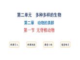 2.2.1无脊椎动物课件2024-2025学年人教版（2024）生物七年级上册