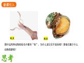 2.2.1无脊椎动物课件2024-2025学年人教版（2024）生物七年级上册