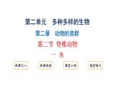2.2.2.1一鱼课件2024-2025学年人教版（2024）生物七年级上册