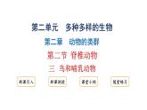 2.2.2.三鸟和哺乳动物课件2024-2025学年人教版（2024）生物七年级上册