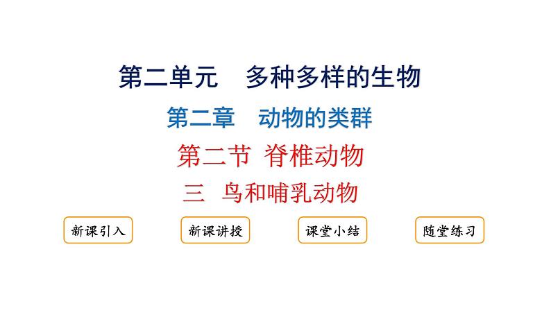 2.2.2.三鸟和哺乳动物课件2024-2025学年人教版（2024）生物七年级上册01