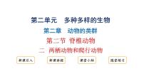 初中生物人教版（2024）七年级上册（2024）二 两栖动物和爬行动物说课ppt课件
