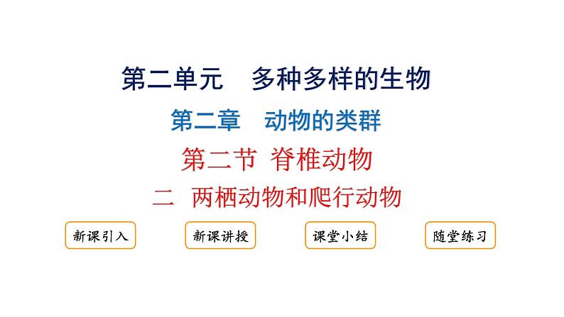 2.2.2.二两栖动物和爬行动物课件2024-2025学年人教版（2024）生物七年级上册01