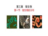 2.3.1微生物的分布  课件2024-2025学年人教版（2024）生物七年级上册