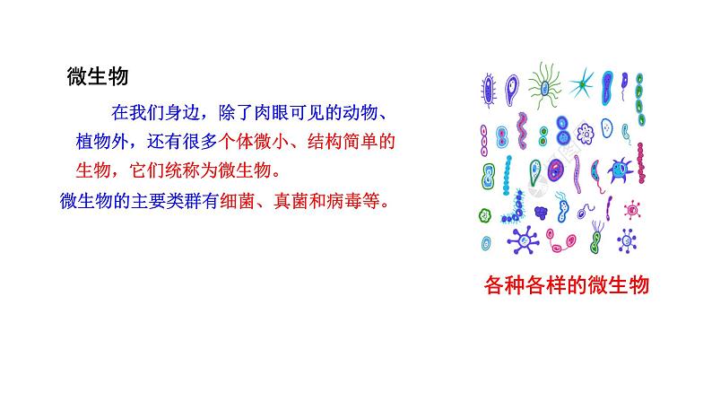 2.3.1微生物的分布  课件2024-2025学年人教版（2024）生物七年级上册02