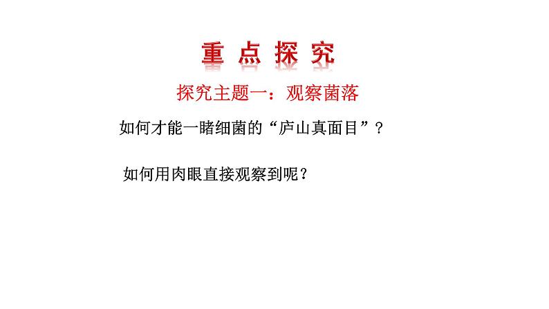 2.3.1微生物的分布  课件2024-2025学年人教版（2024）生物七年级上册04